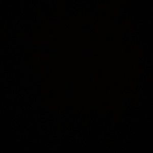 Meet your Posher, Gianna